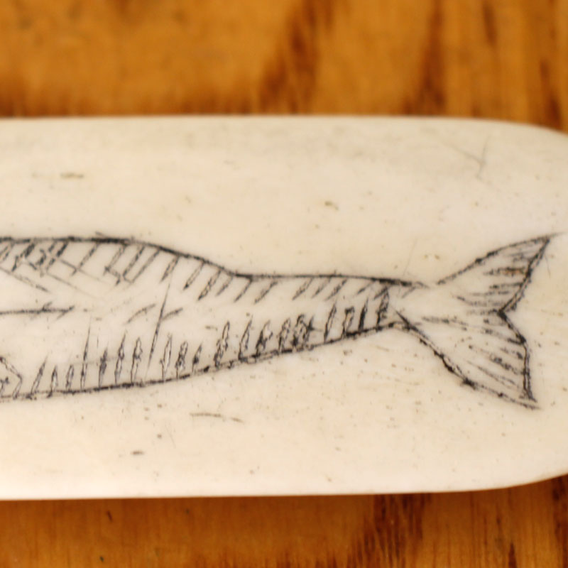 Scrimshaw-Bone-Folder_Drew_Christie_2